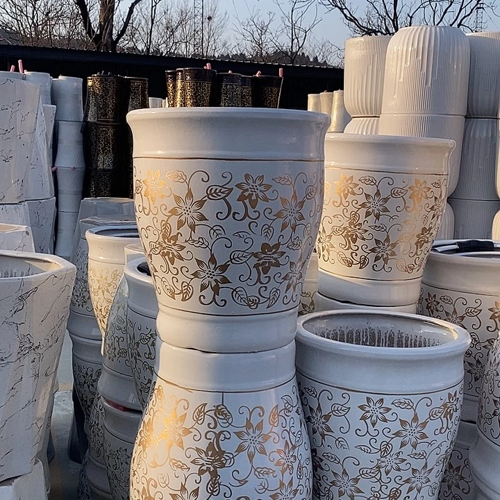 白金花大号口32高36福利