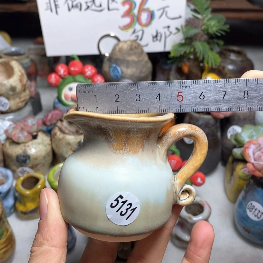 花盆拍5送一个小礼物