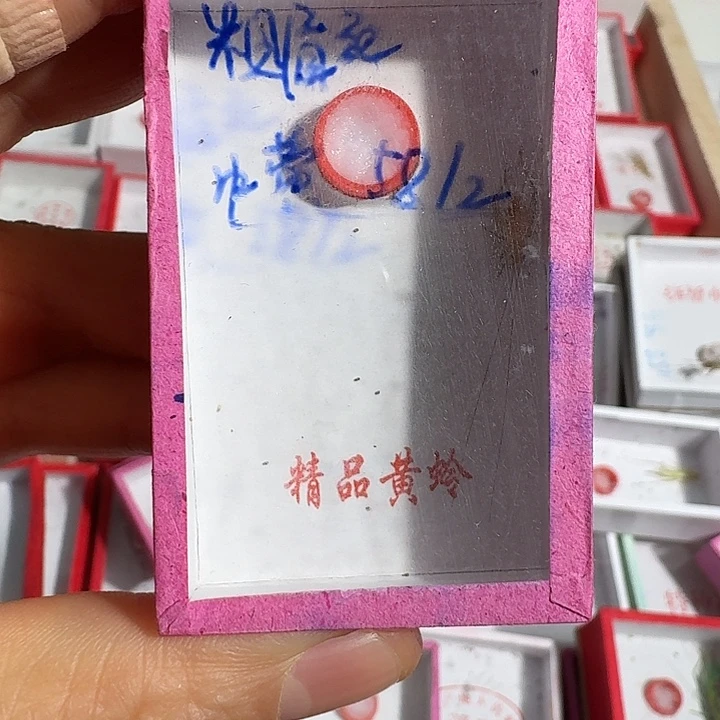 粗***）蟋蟀1111111111111111