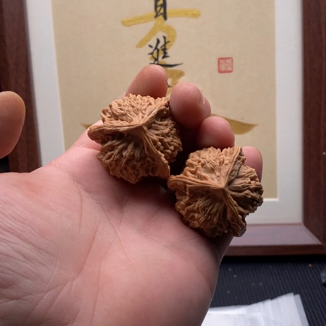 核桃哈哈哈哈哈哈哈哈哈哈哈