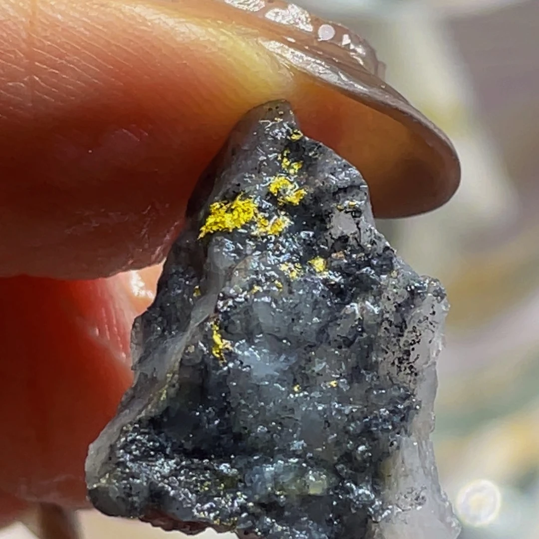 金属龙***波金达莱天然矿标