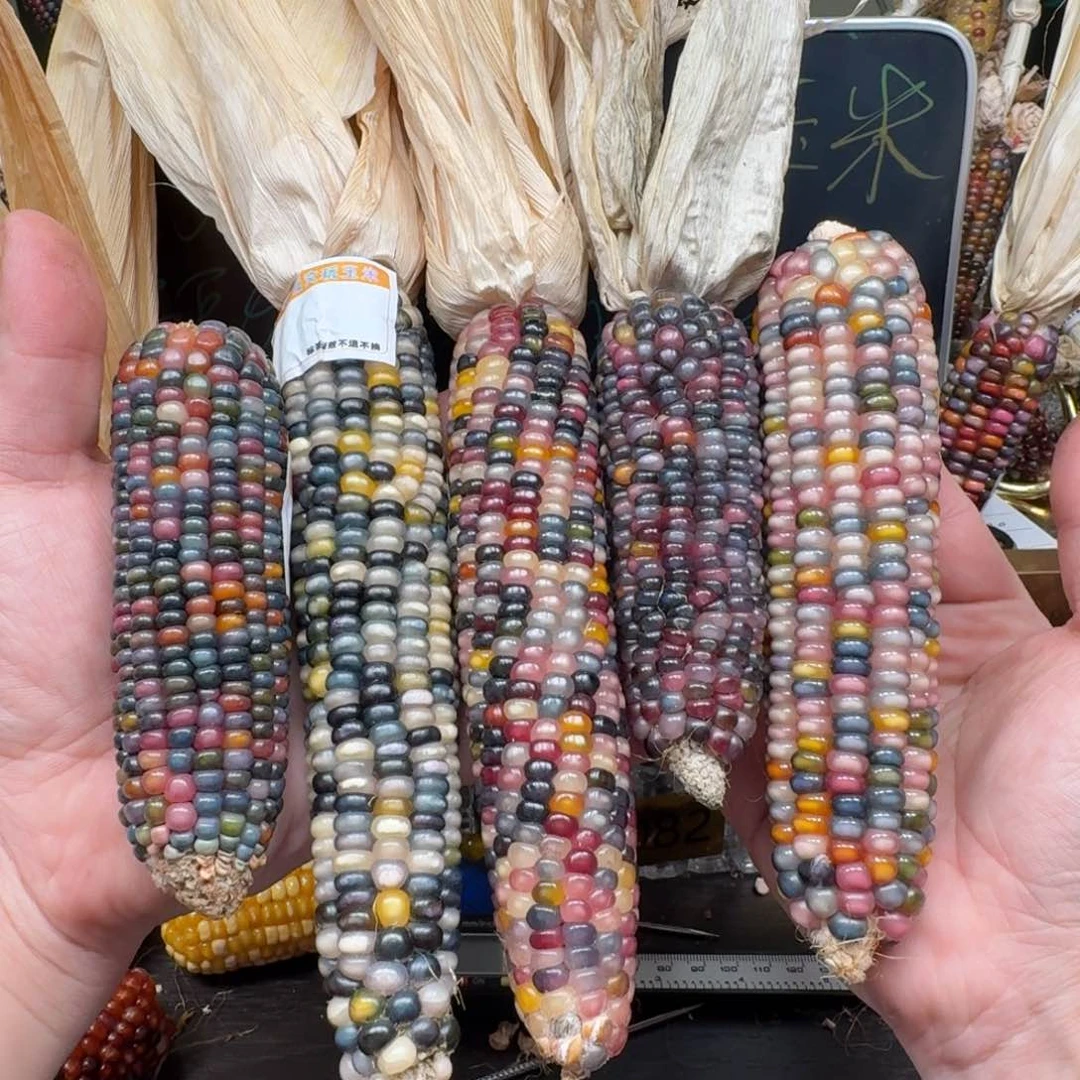 柏香籽/百香籽吊坠丫*～