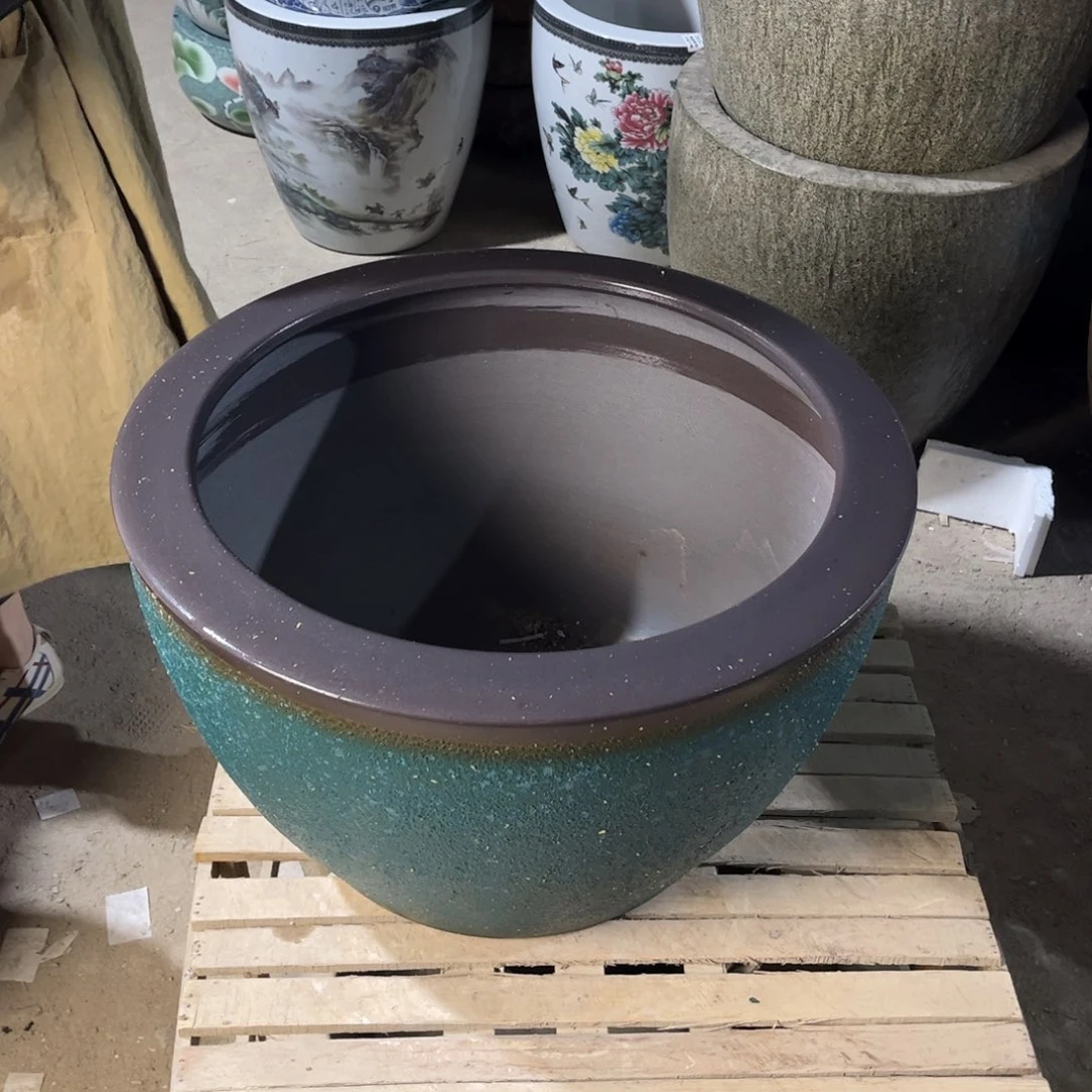 瓷片兰泡52.8888888