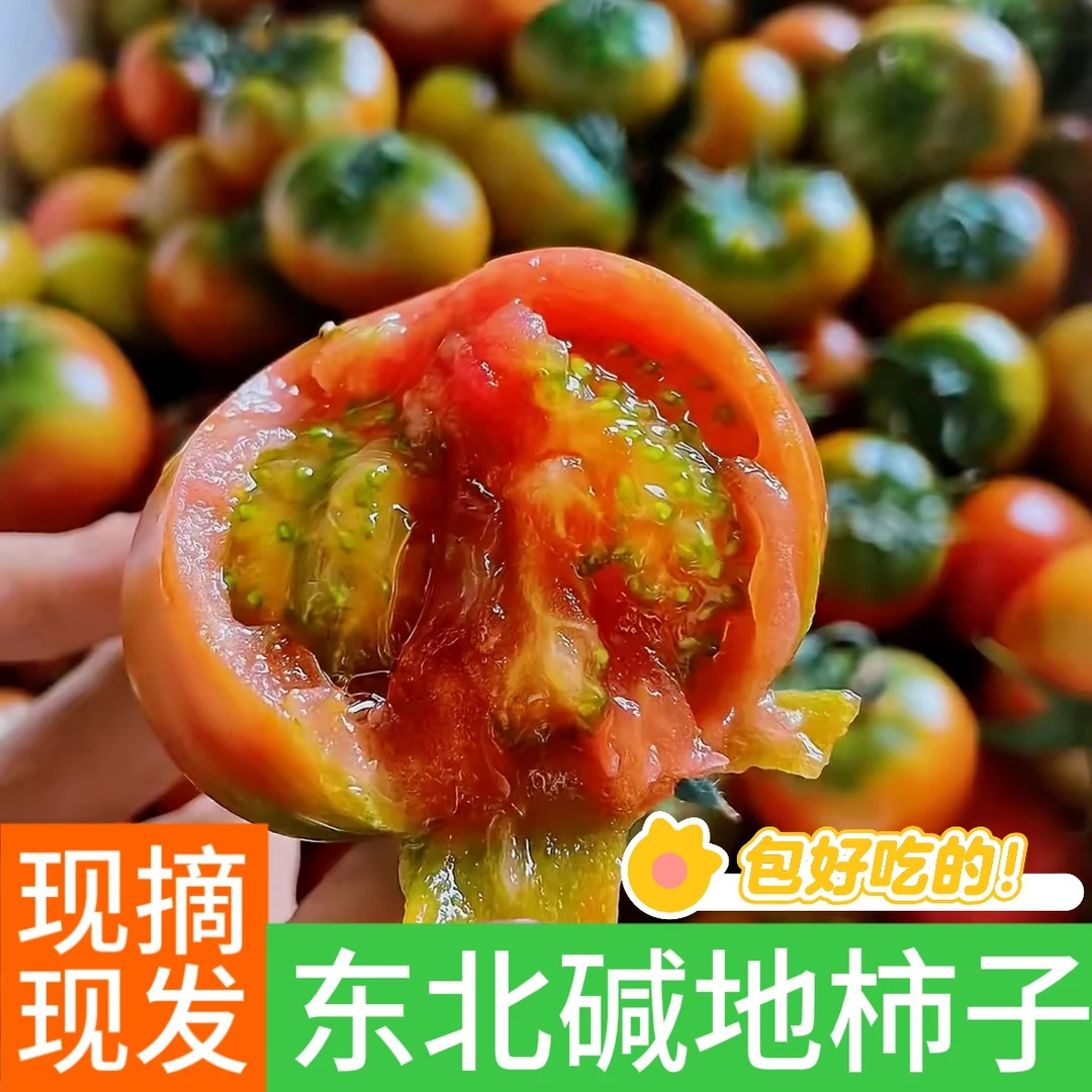 东北正宗碱地柿子新鲜采摘包邮到家草莓柿子一口爆汁酸甜可口