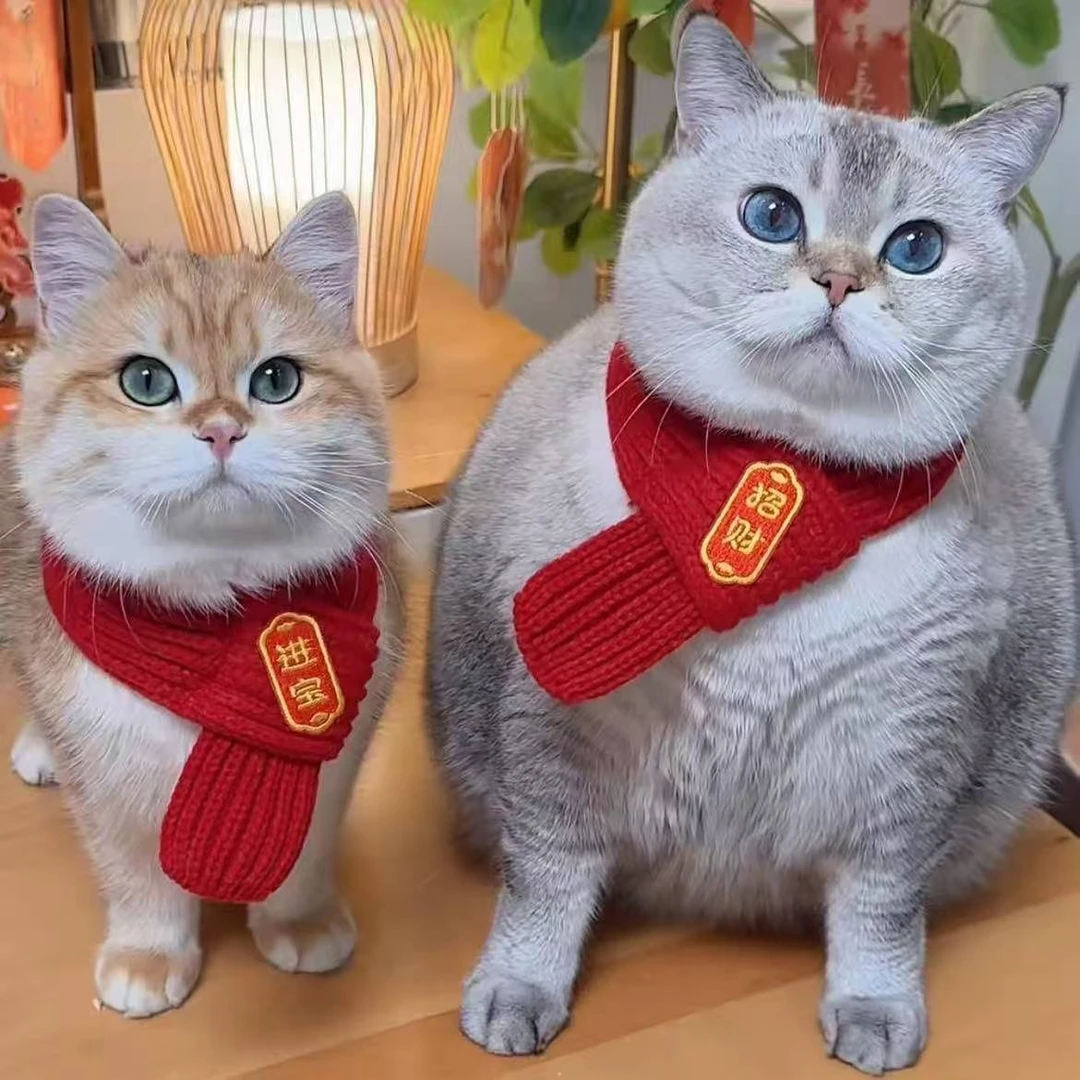【给毛孩子的新年礼物】猫咪狗宠物围脖针织保暖喜庆好寓意围巾