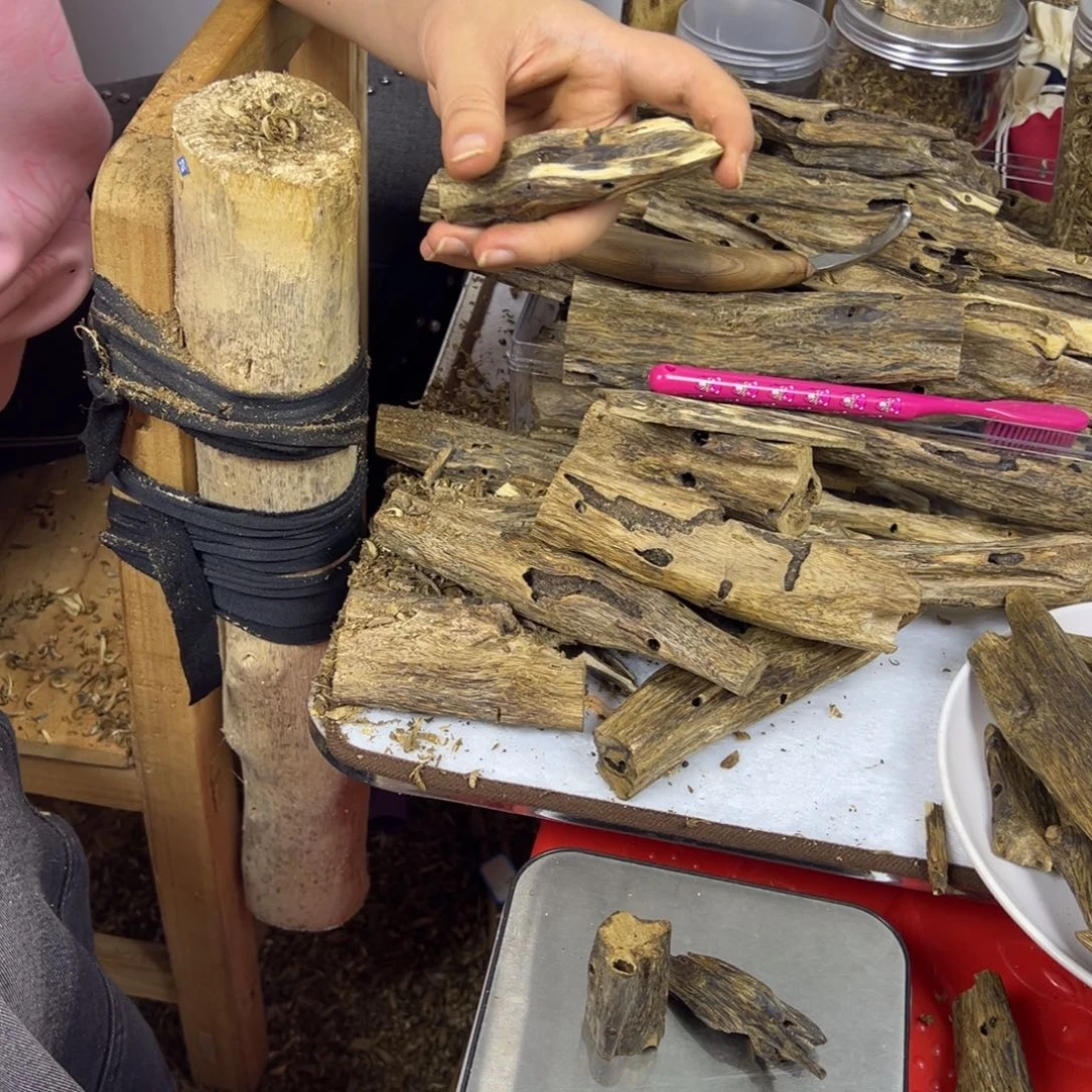 线香奇楠虫漏香15克