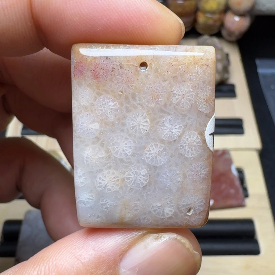 硅化珊瑚（珊瑚玉）未镶嵌纯天然色有机玉石保真色瑕疵特价不退换