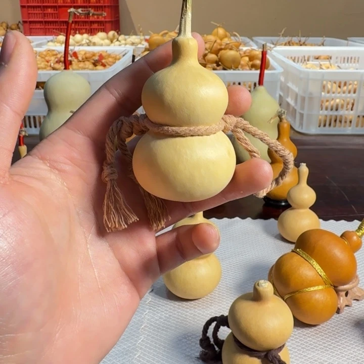 *****11111111111111111