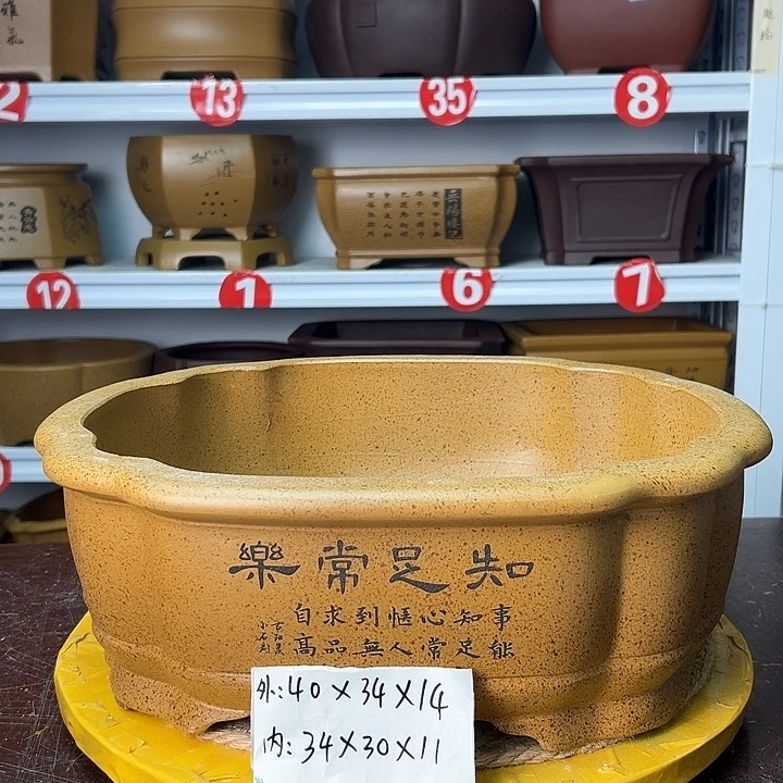 花盆紫砂你在一起