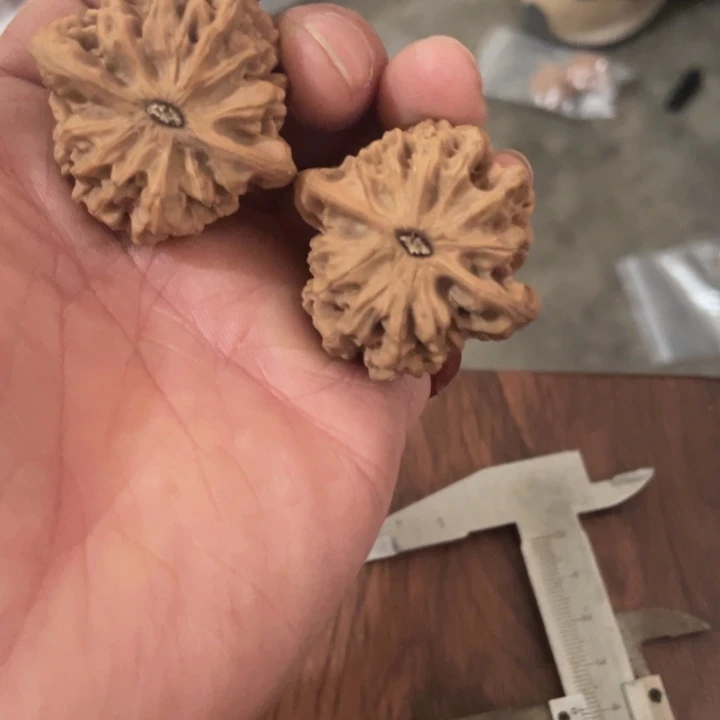 核桃手串/手链秦岭山脉东面至黄河上游