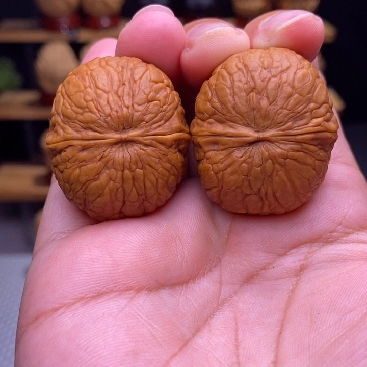 木质类云铁落宝55号