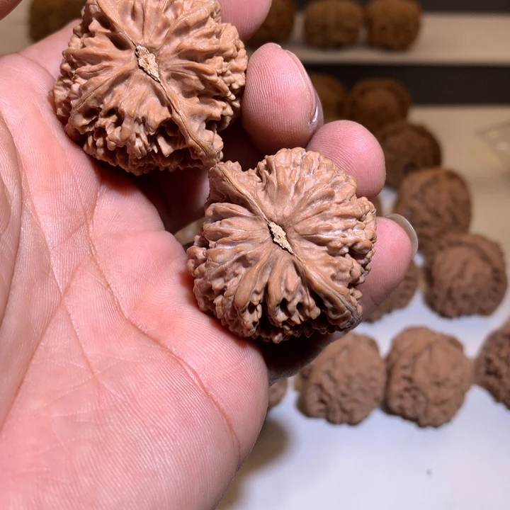 桃核把件六*?精品满天星