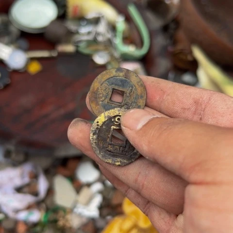 杂色豆（科檀/科特迪瓦檀木）小*