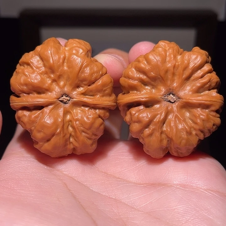 起***…手串/手链核桃蛤蟆