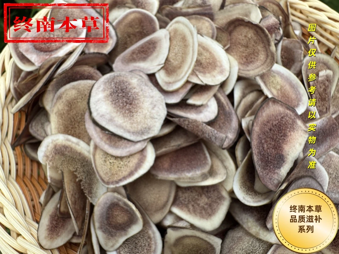 鹿茸片可泡水泡酒自晒晾干的滋补好物