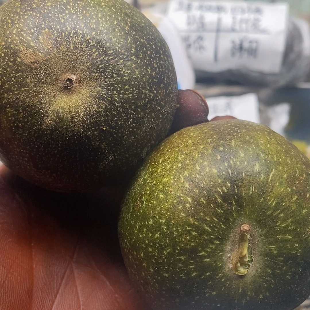 波***盖服斤斤计较不回家就斤斤计较