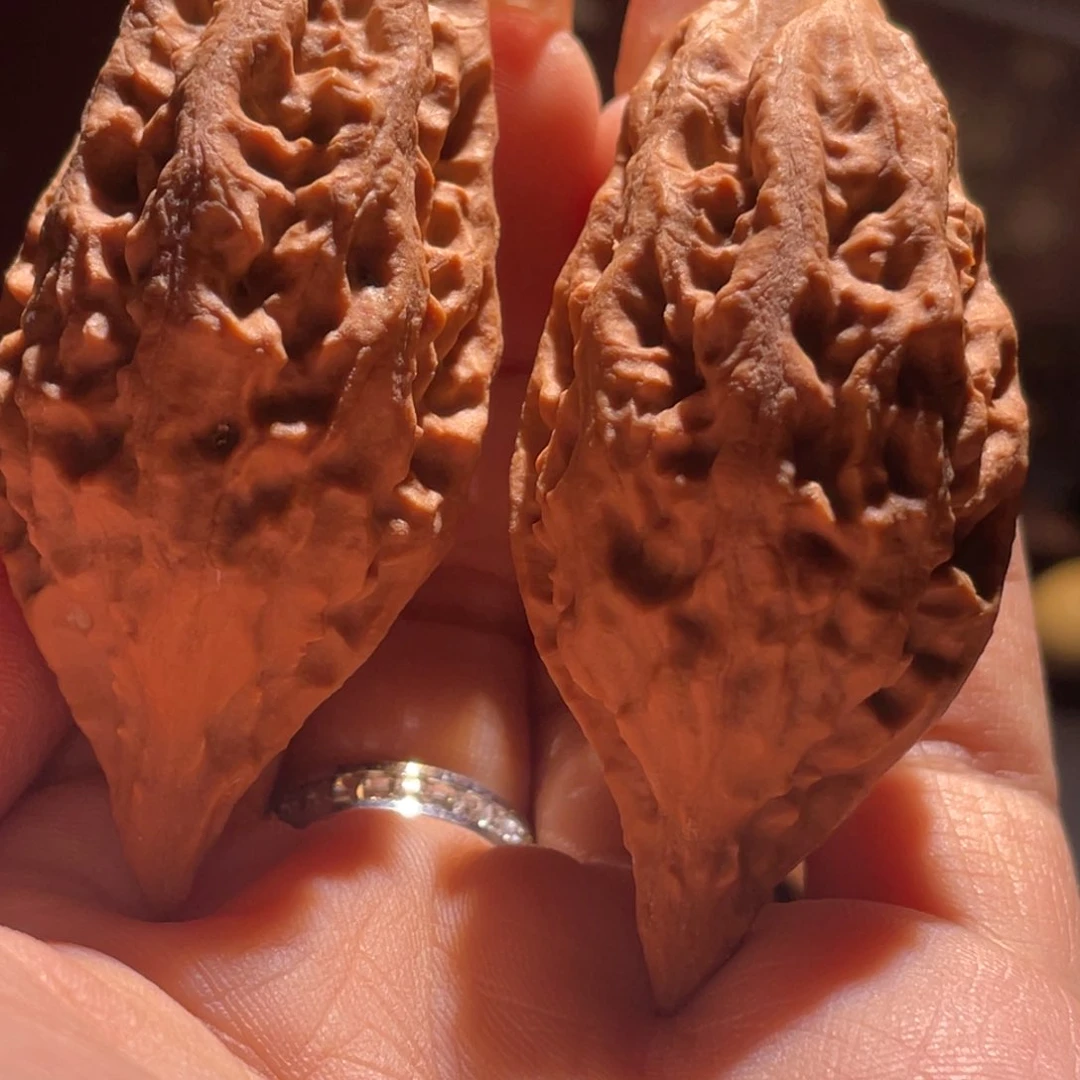 文玩核桃吊坠九哥楸核2