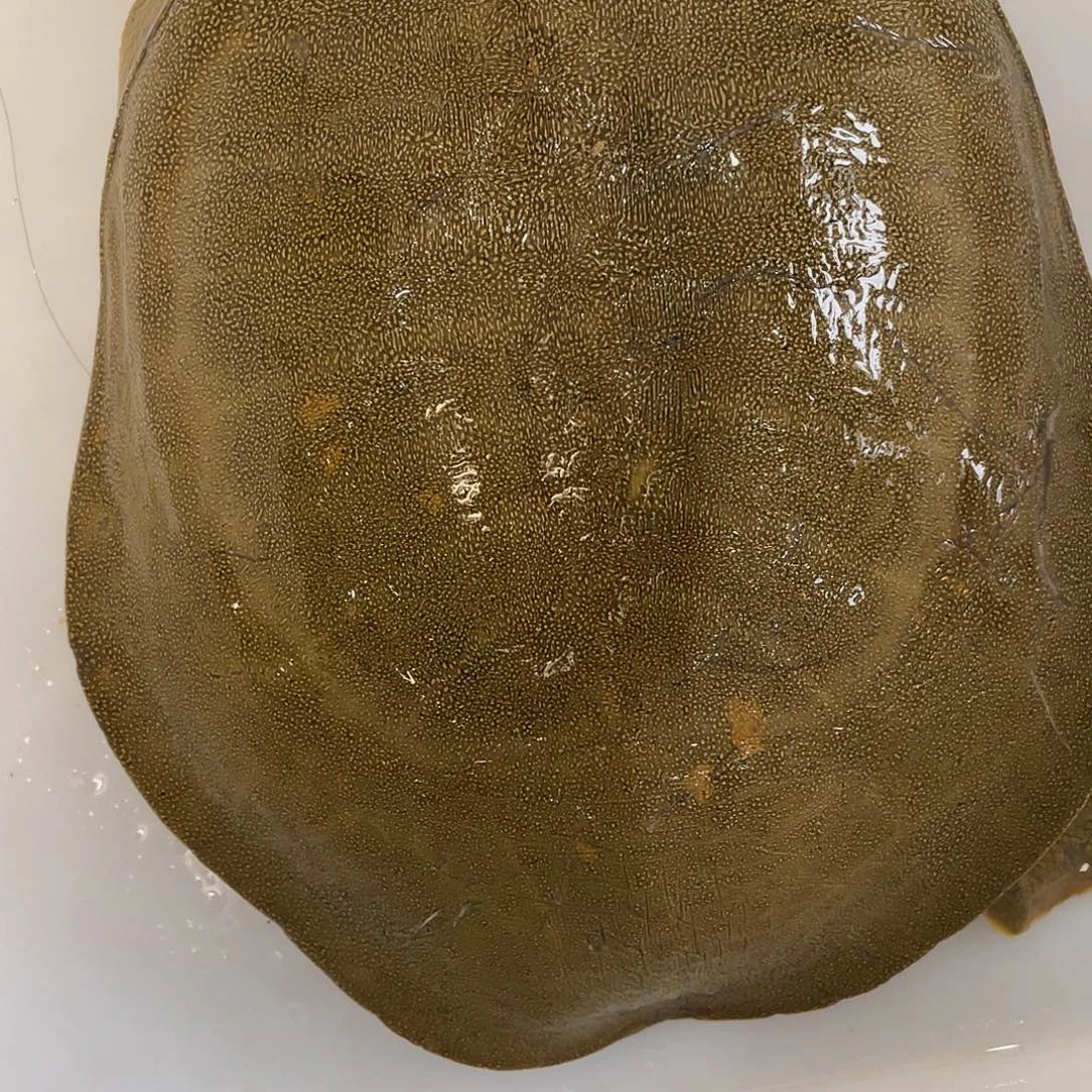 中国大陆12345678