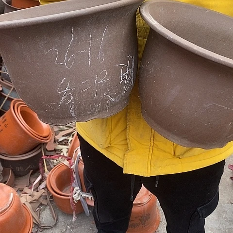 紫砂中国宜兴紫砂花，