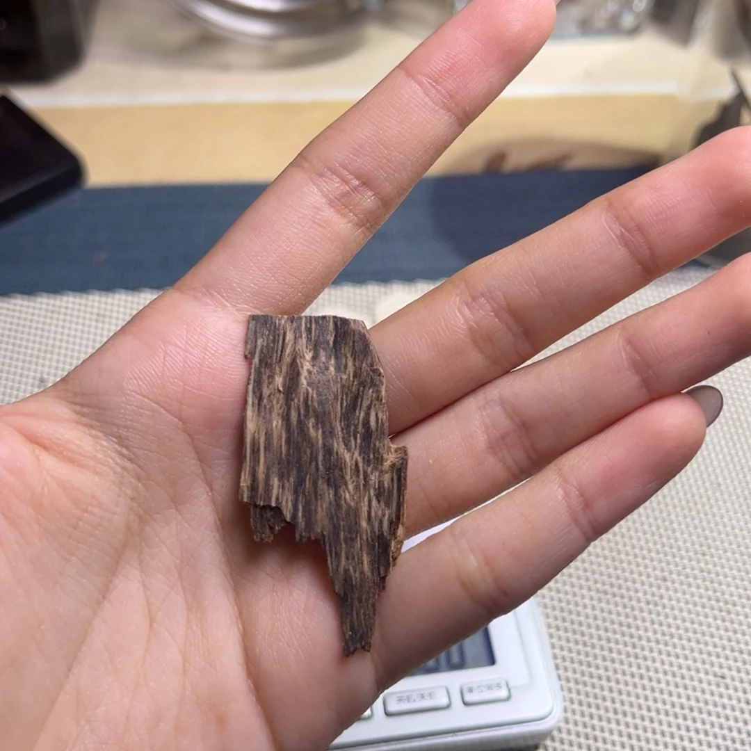 香料柬埔寨沉水菩萨棋棋楠种1克