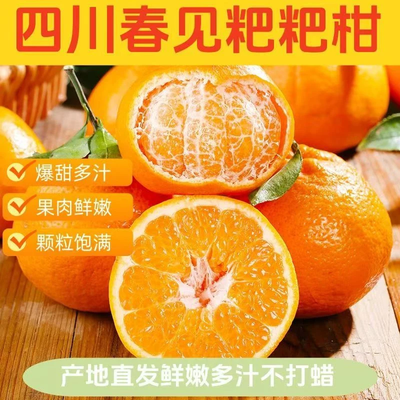 【新鲜水果】正宗四川春见耙耙柑现摘现发果园直发整箱包邮