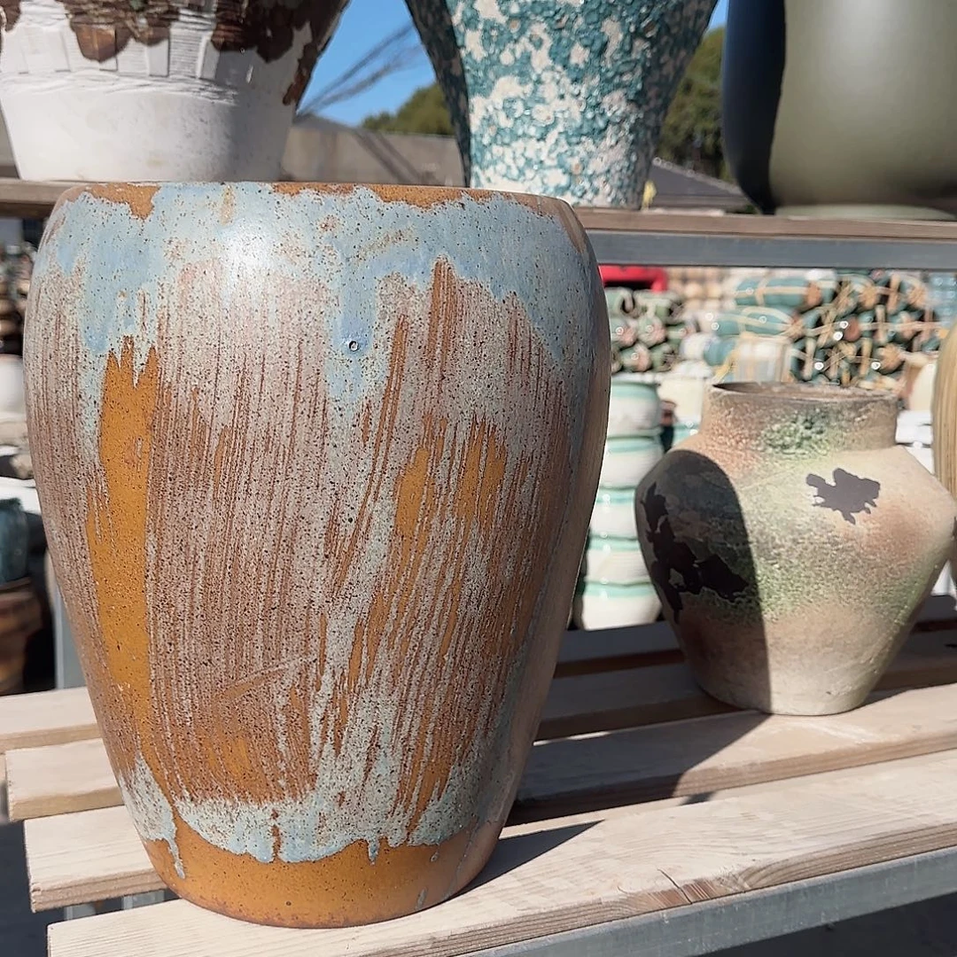 王嫂花盆直播1129-456