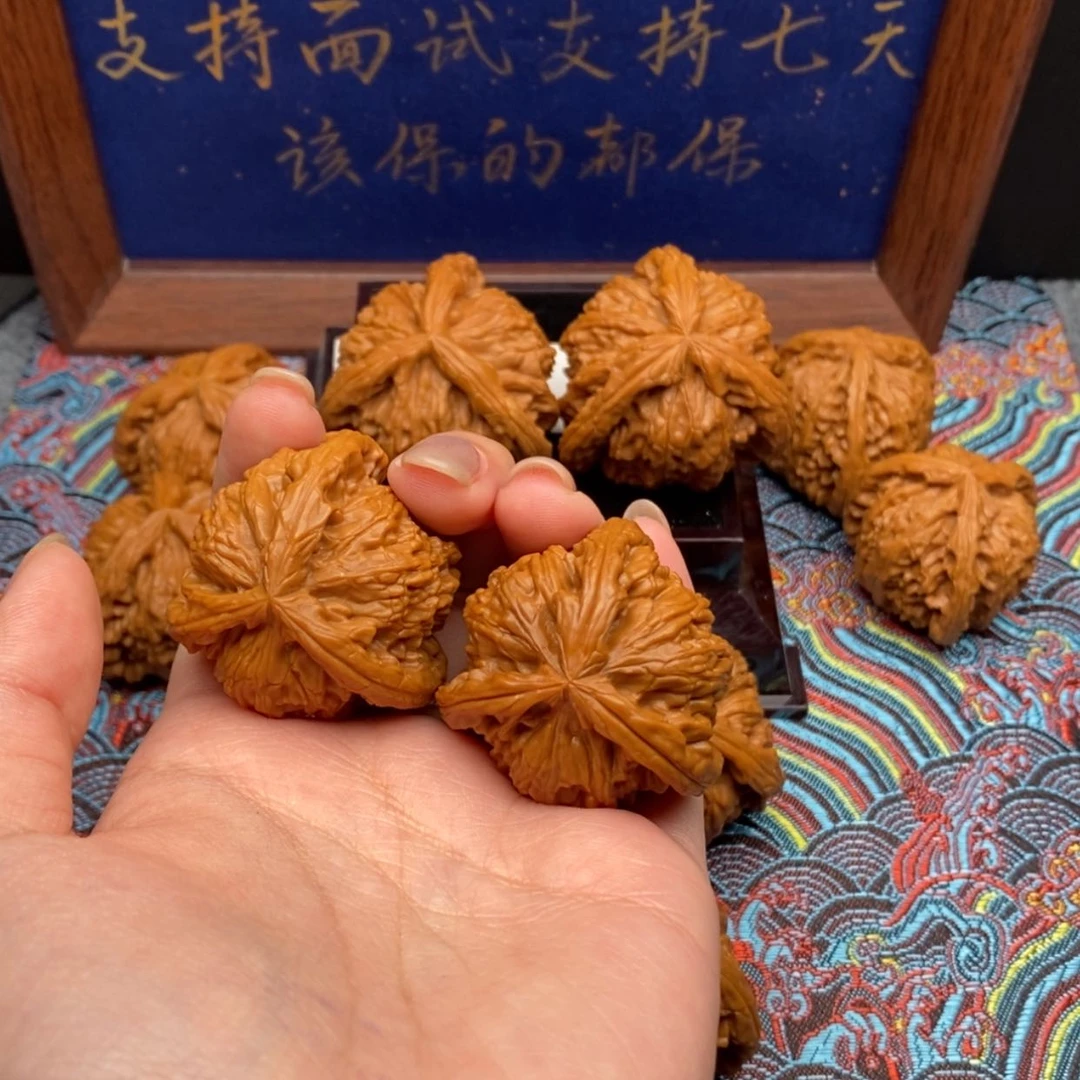 【闪购商品】?白狮