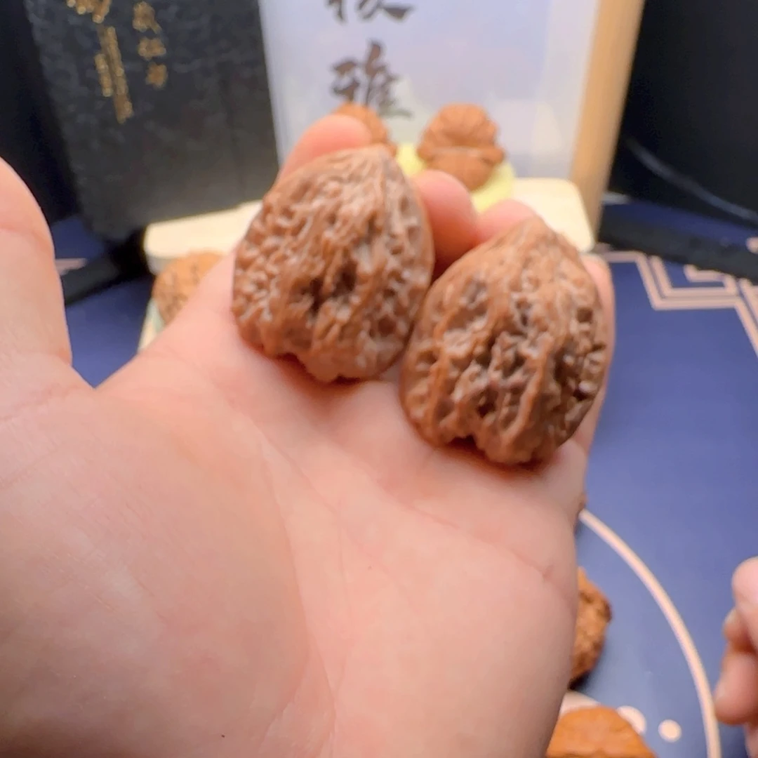 想***字38全品壁虎庇护一生