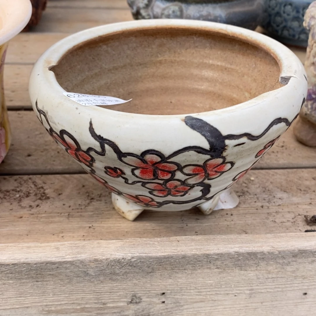 60号多肉盆口径12瑕疵