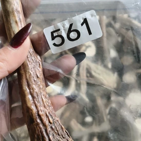 H***9鹿角鹿角鹿角鹿角鹿角鹿角