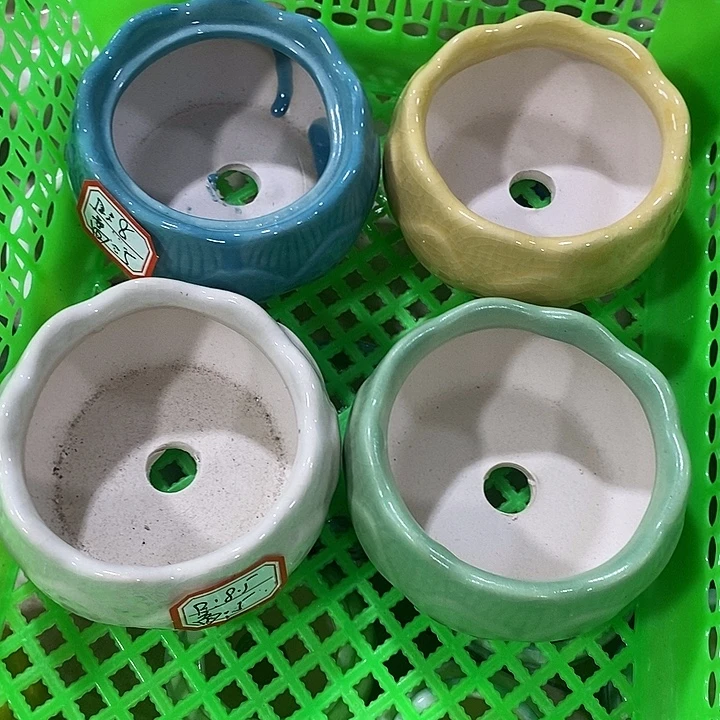 花盆抢购清货马上开始