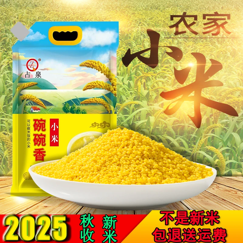 占泉碗碗香黄金苗小米辽宁朝阳建平直发