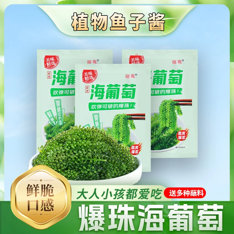 昭苑新鲜儿童海葡萄即食海带海藻长寿菜寿司绿色鱼子酱