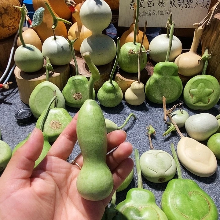 桐***樾你也不说了嘛还要不干