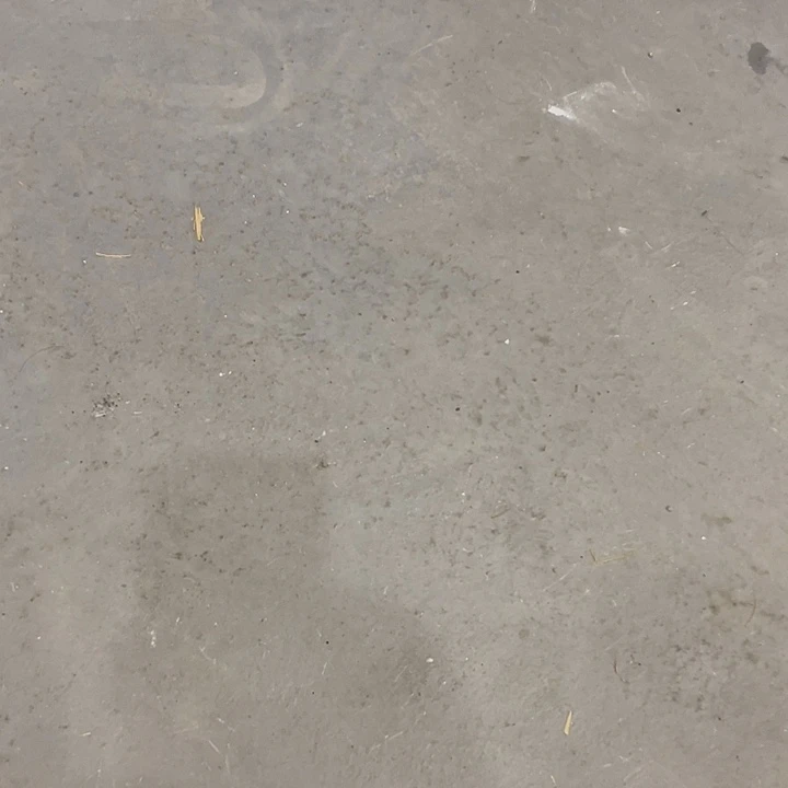 相***己运费个具体来咯哦我我