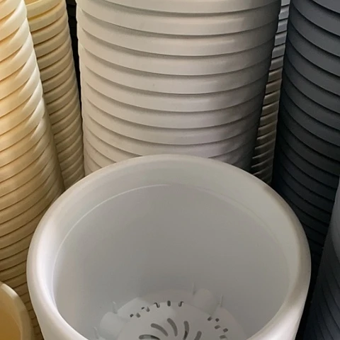 树脂四季5号纯白无托6个