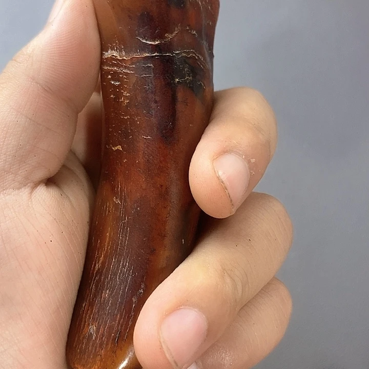 大果紫檀（缅甸花梨）779