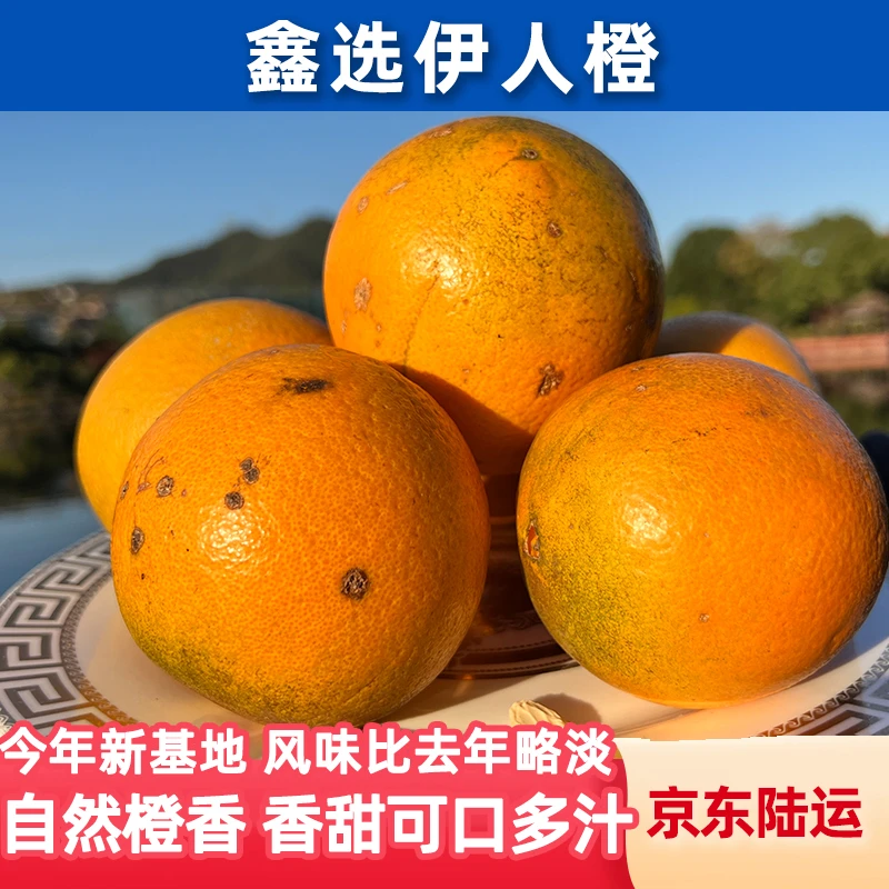 鑫选 伊人橙4.5-9斤 自然橙香可口多汁新鲜水果橙子 京东直发