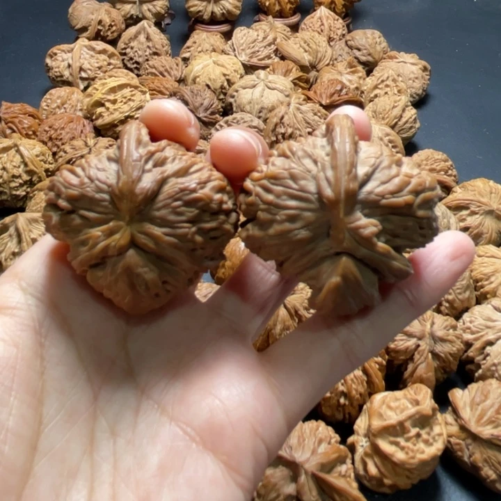 白狮子挂角43尺寸核桃哈哈哈哈哈哈