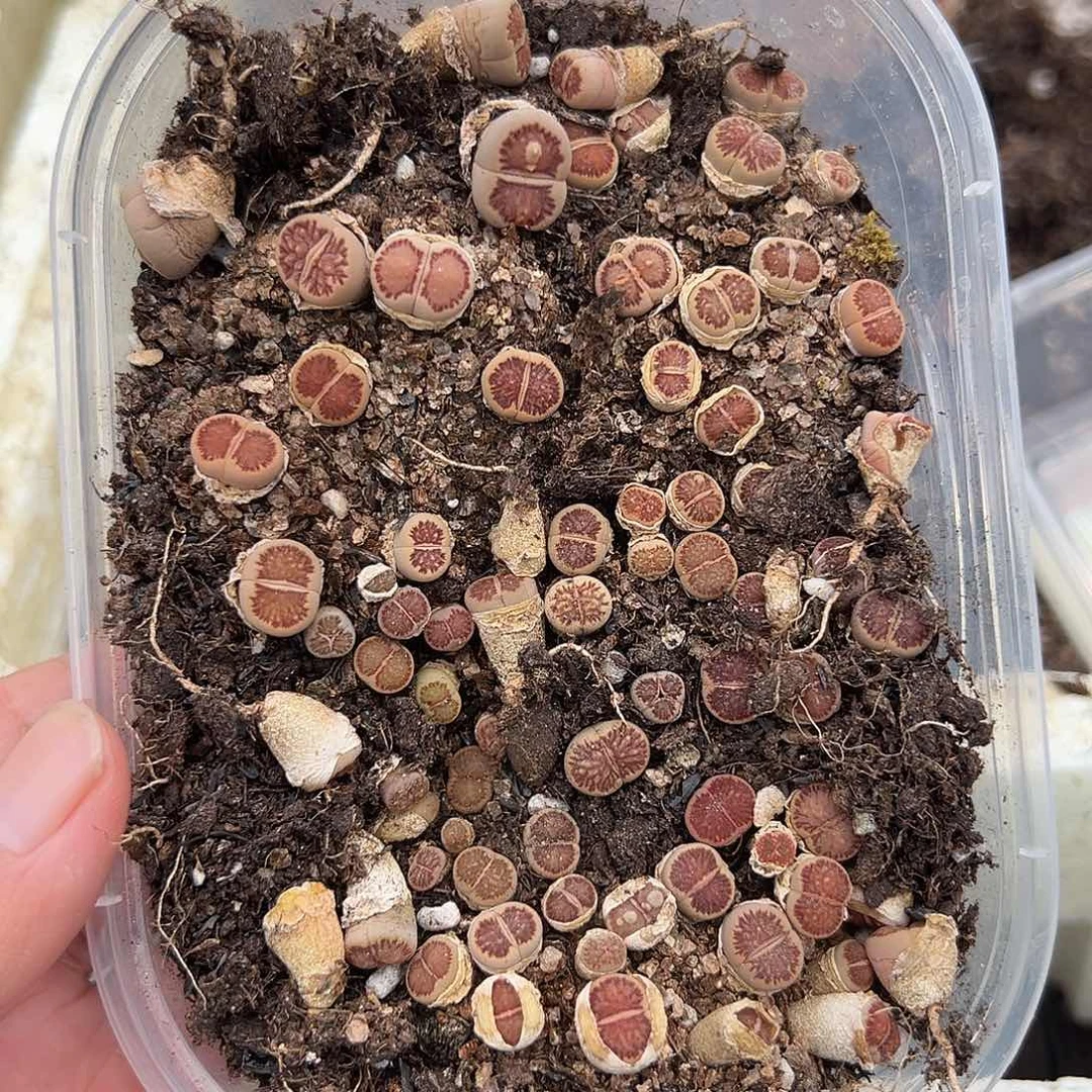 479清货福利1111111111111