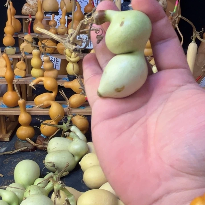 已***置蚂蚁森林的故事真的很精彩