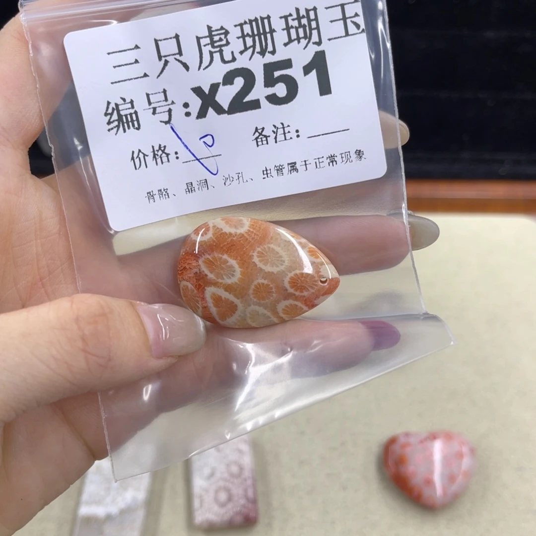 嘀***～硅化珊瑚（珊瑚玉）h未镶嵌