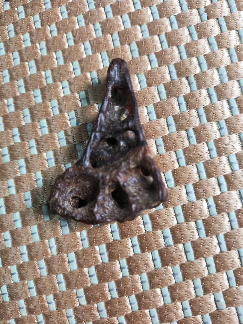 巴布亚新几内亚贡木吊坠