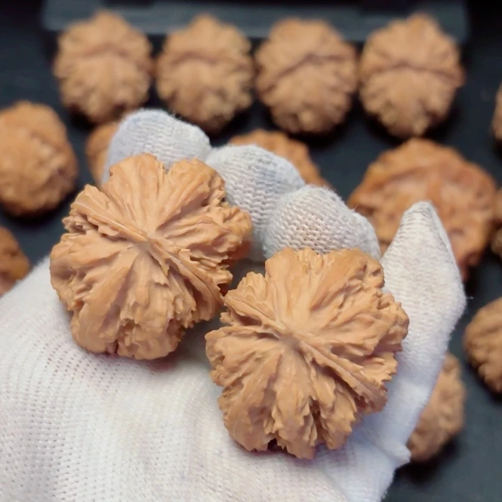 文玩核桃把件本***来秦岭灯笼22