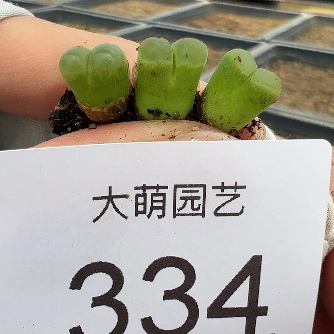 0000334量拍1414.7碧眼磁铁风铃3颗