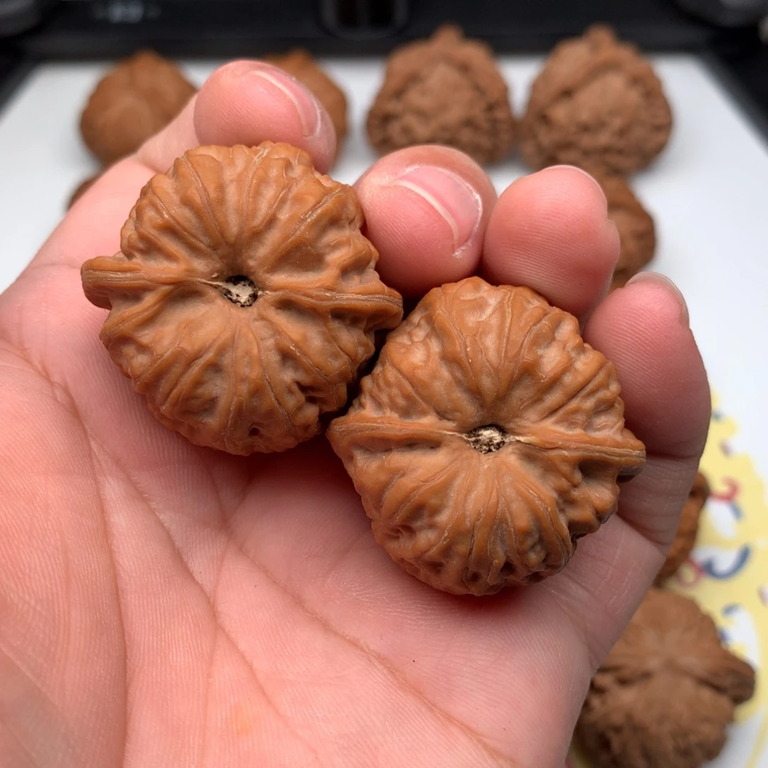 文玩核桃把件37玄龙凹底