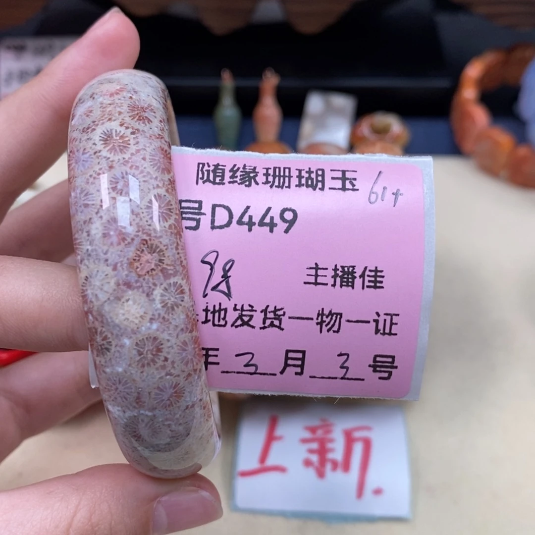 硅化珊瑚（珊瑚玉）D449未镶嵌华**柜