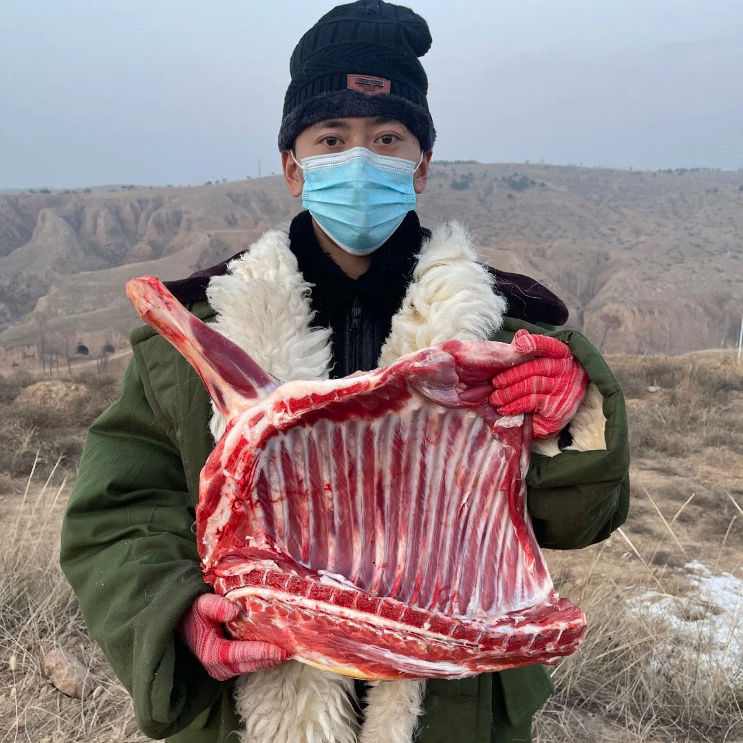 【内蒙碱滩羊】羊腿排5斤8斤手把前腿后腿羊排直播小腿新鲜羊肉