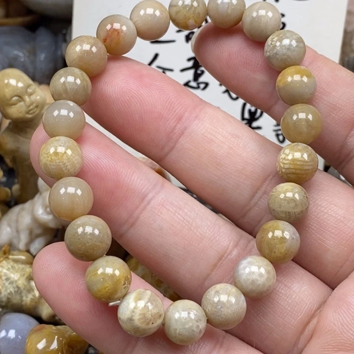 硅化珊瑚（珊瑚玉）未镶嵌颈饰