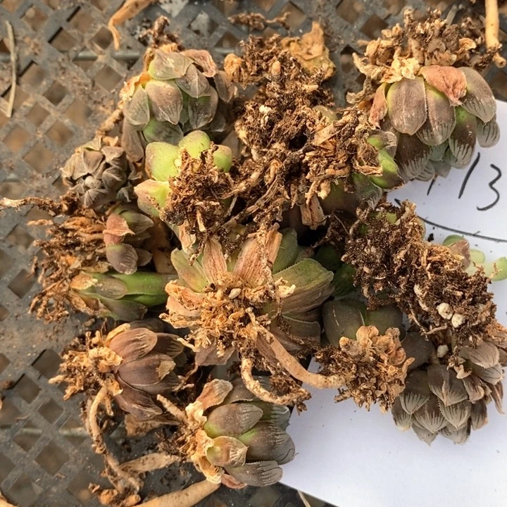 喜**?13110。  福利。